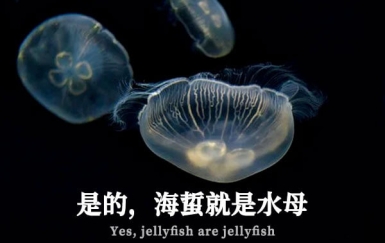 极影毁片辉宋
