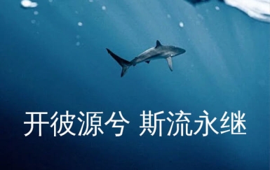 文泉驿正黑