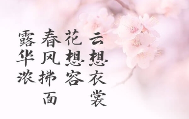 演示春风楷