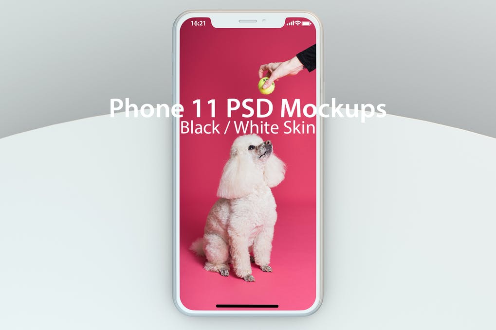 iPhone 11 PSD模型苹果手机样机展示