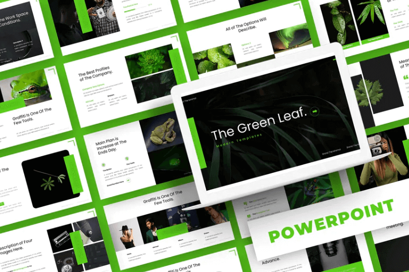 绿叶-PowerPoint模板