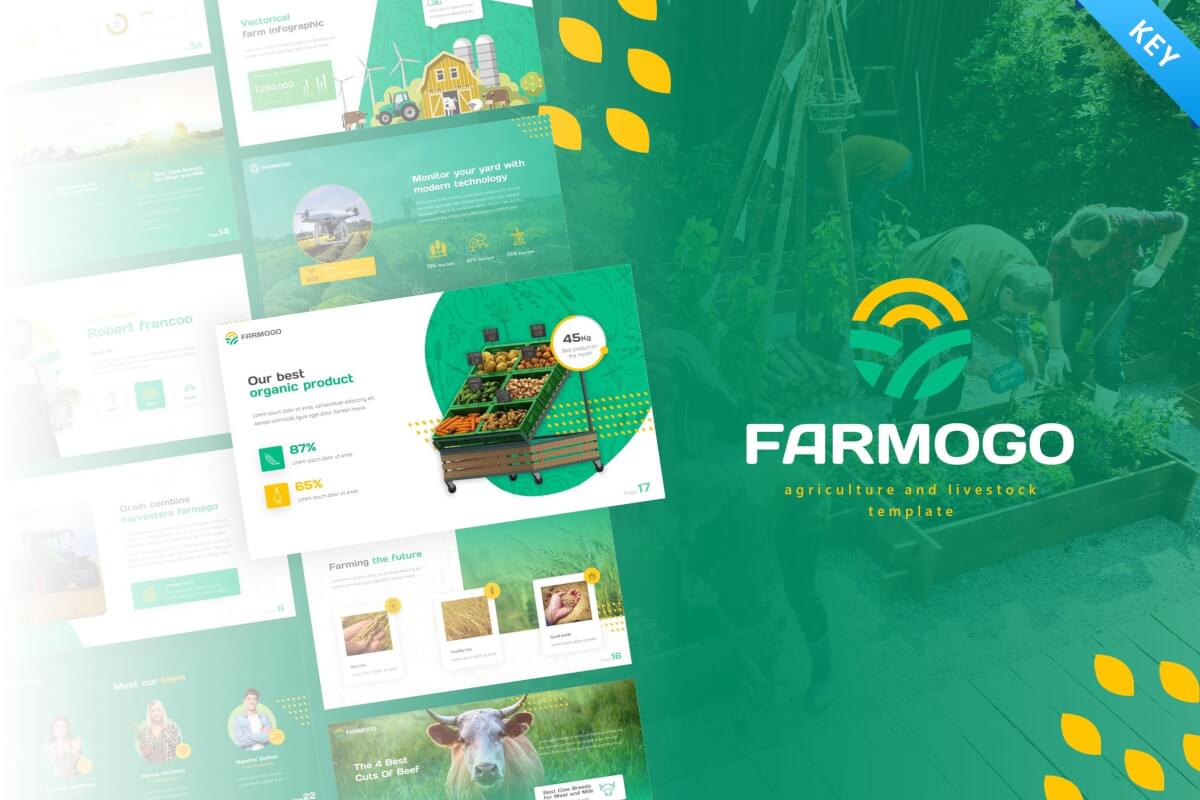 Farmogo农业主题演讲keynote模板下载