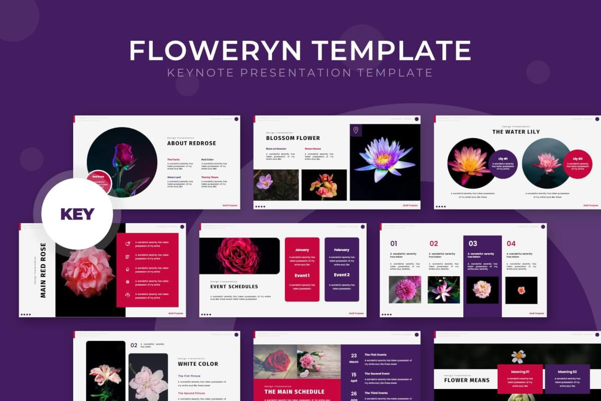 Floweryn-主题演讲keynote模板下载
