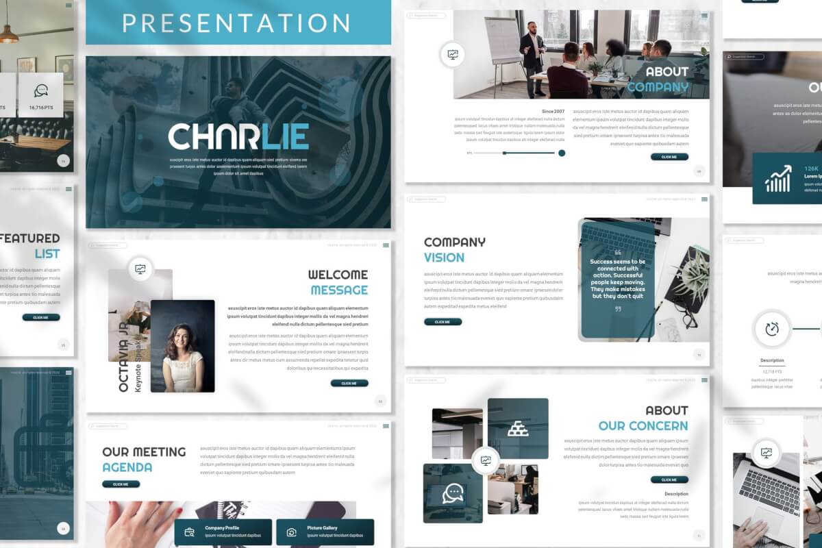 Charlie-广告素材代理商演示模板