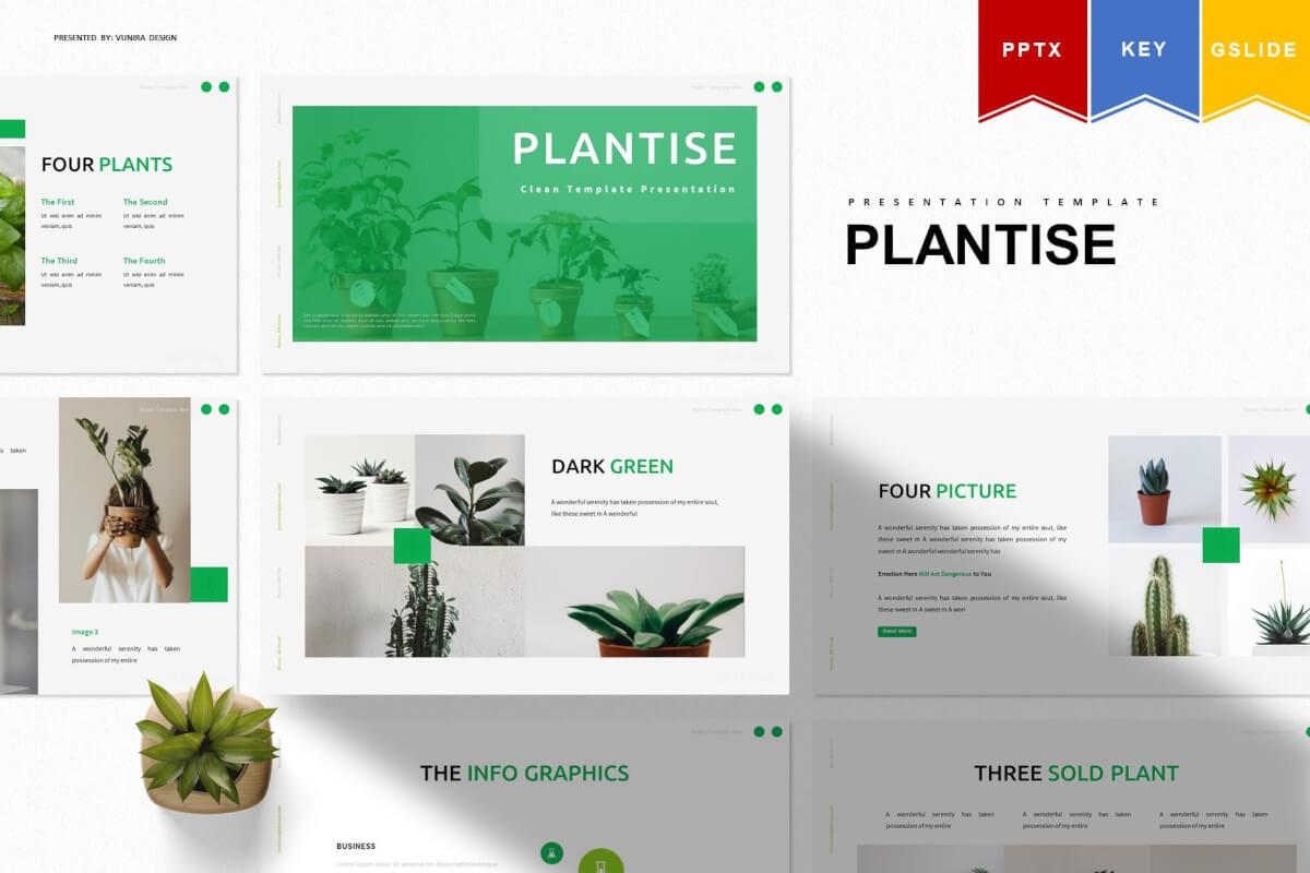 Plantise-简约绿色环保公益宣传ppt模板