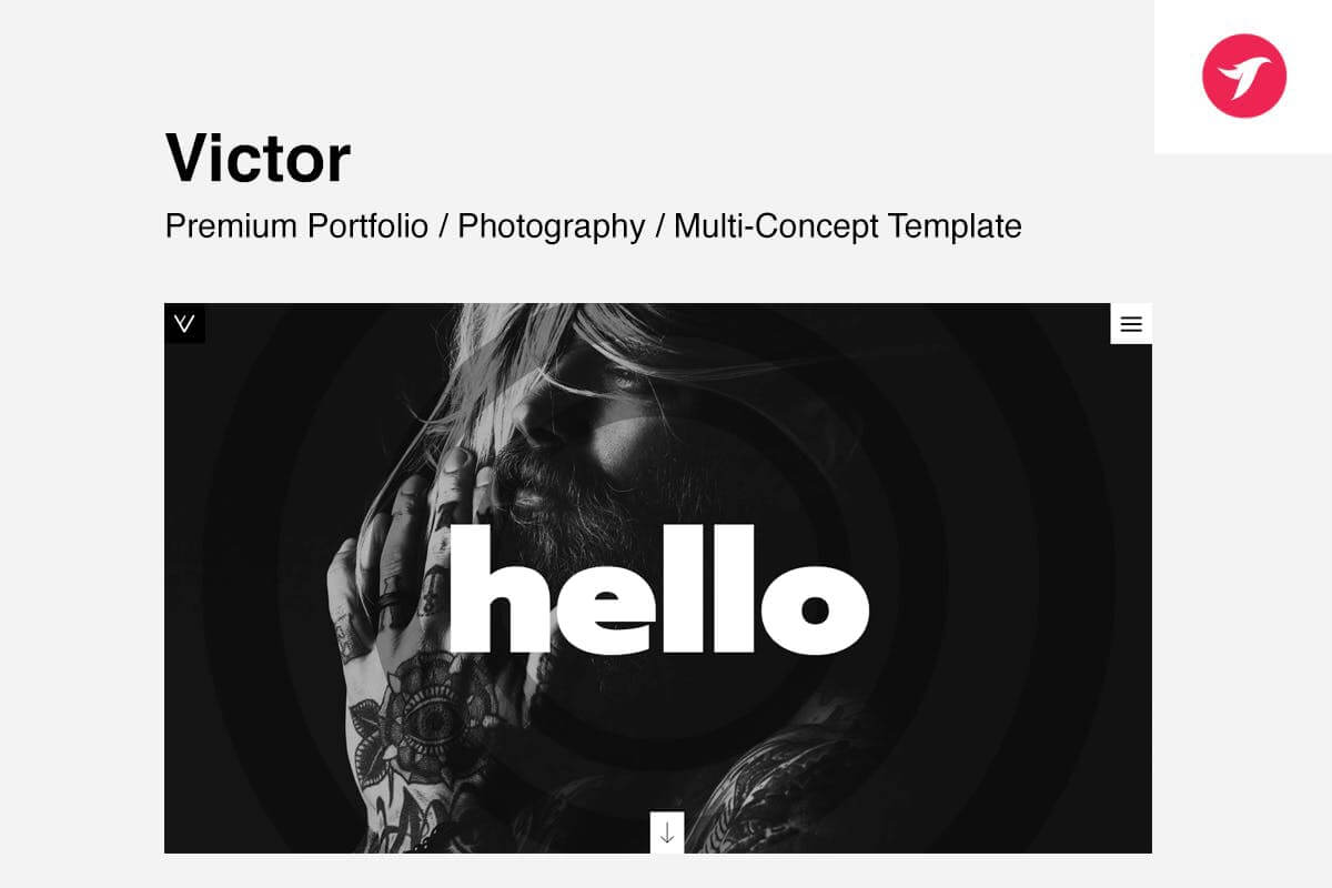VICTOR-创意组合/摄影作品展示网站html模板