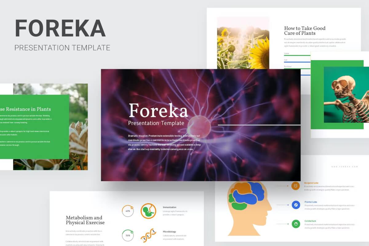 Foreka-生物教育简报PowerPoint模板