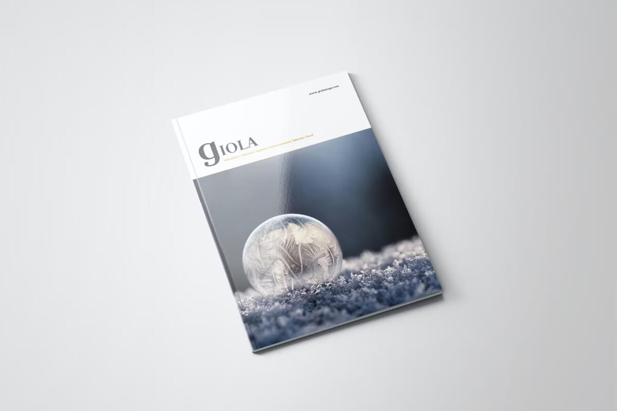 Giola 2.0 - A4杂志 InDesign模板